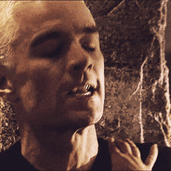 attraction between spike and buffy 